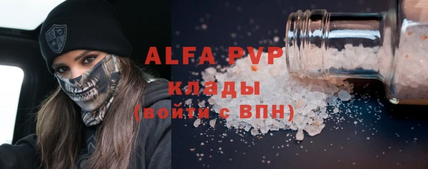 амф Верхний Тагил
