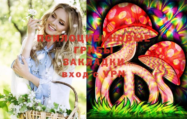 амф Верхний Тагил