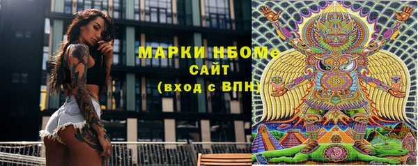 амф Верхний Тагил