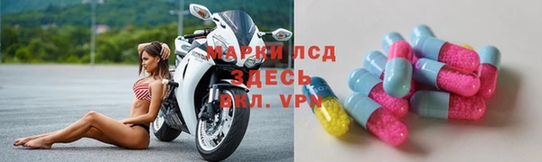 амф Верхний Тагил