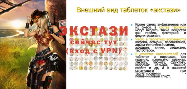 амф Верхний Тагил