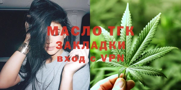 амф Верхний Тагил