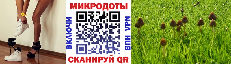 продажа наркотиков Лыткарино Галлюциногенные грибы Psilocybe